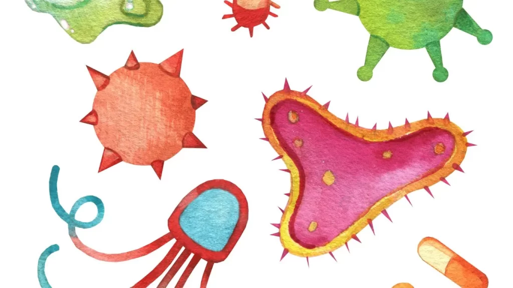 bacteria-vs-viruses-illustration